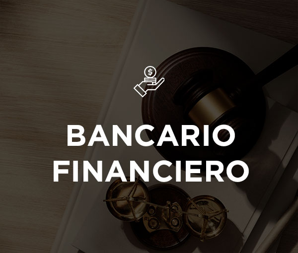 Proyecto