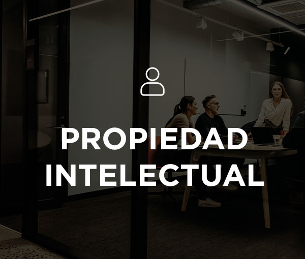 Proyecto